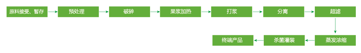 藍(lán)莓、草莓、桑葚濃縮汁